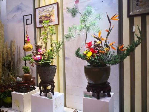 北京世園會省區(qū)市室內(nèi)展品競賽第四次評審圓滿落幕，家居用品類別亮點紛呈